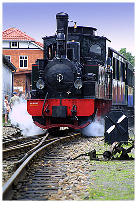 43